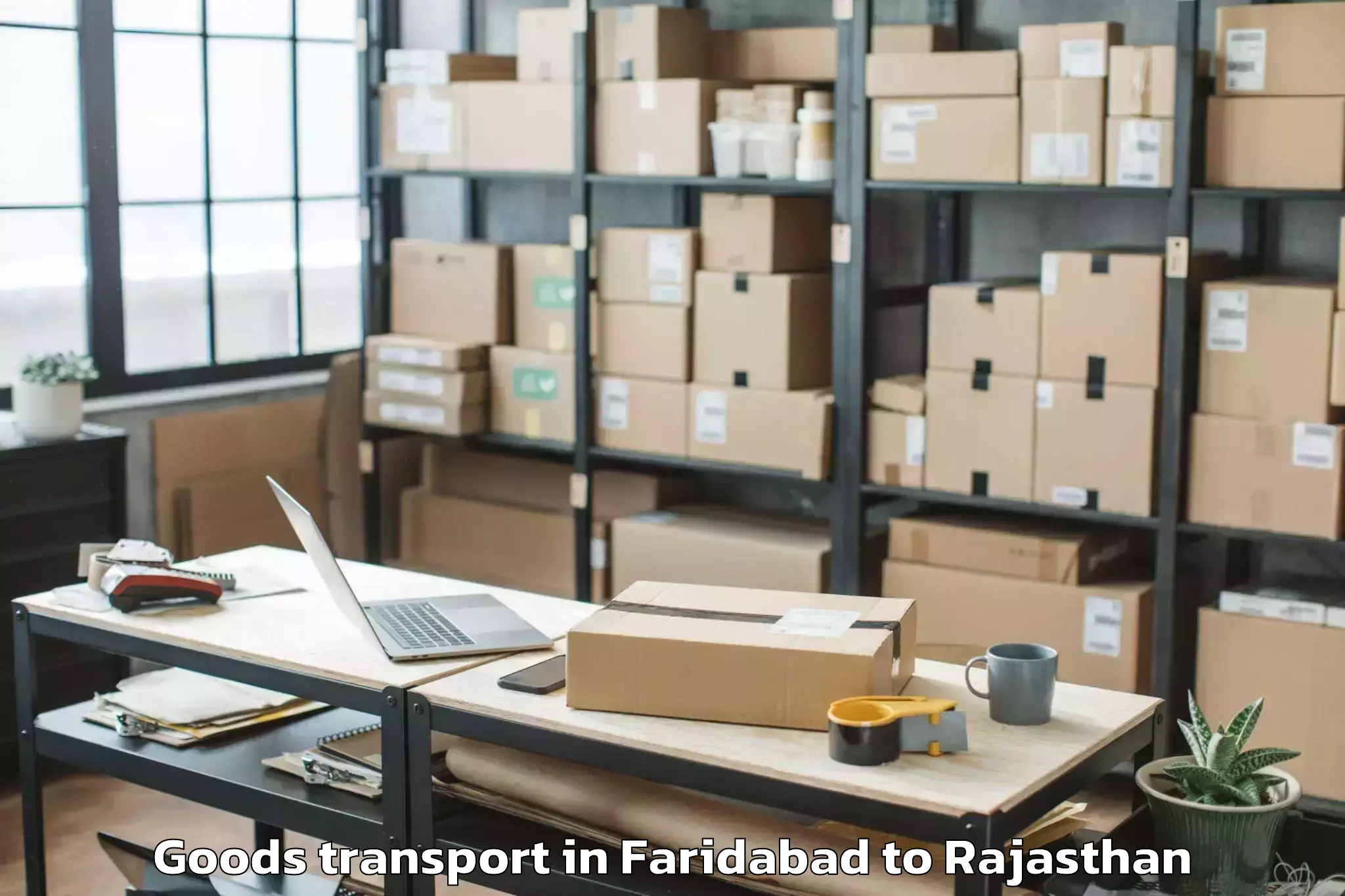 Quality Faridabad to Bayana Goods Transport